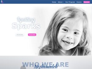 Neshamale By Nina Bildirici